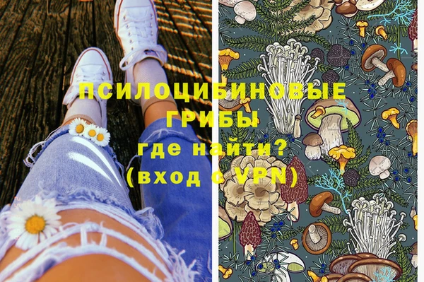 PSILOCYBIN Беломорск