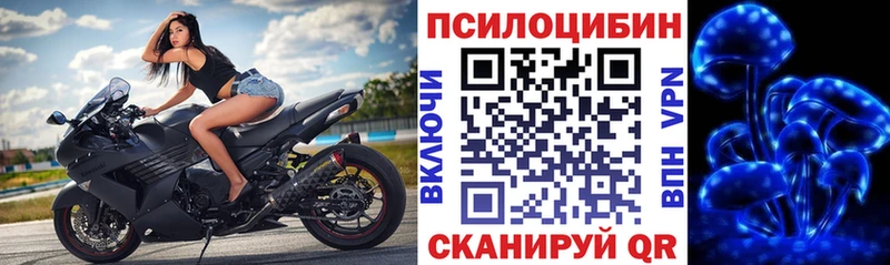Галлюциногенные грибы Magic Shrooms  Цимлянск 